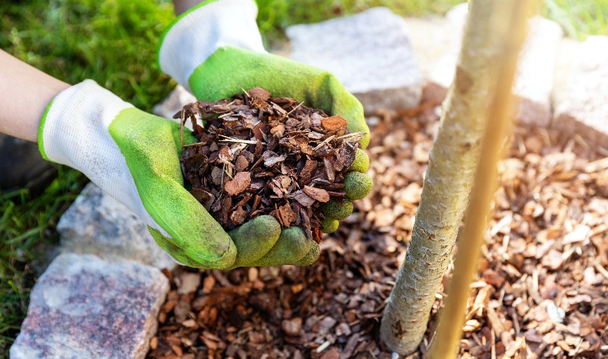 Mulching